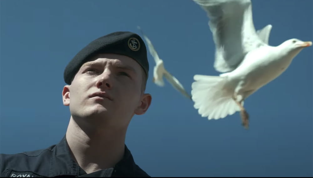 A sailor wearing a blue beret looks in the distance as Seagul flies over