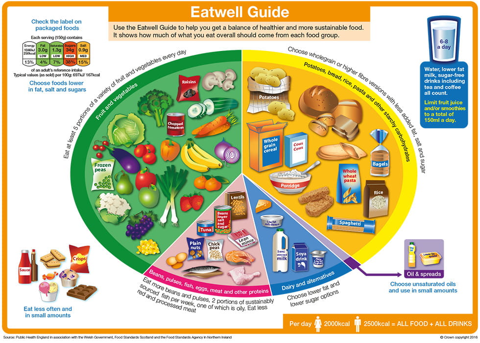 Navy Fit Eat Well guide. 