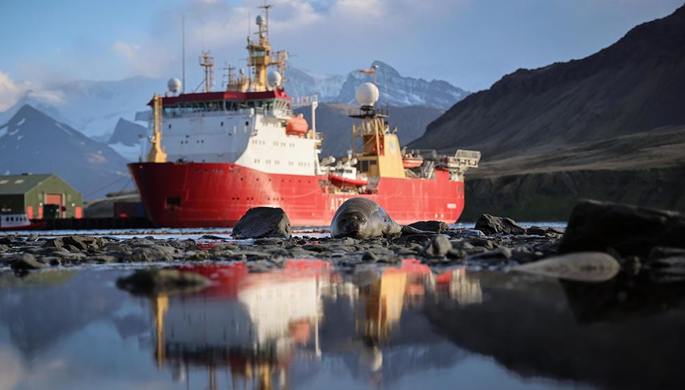 HMS Protector red and white ship in South Georgia with seal in foreground